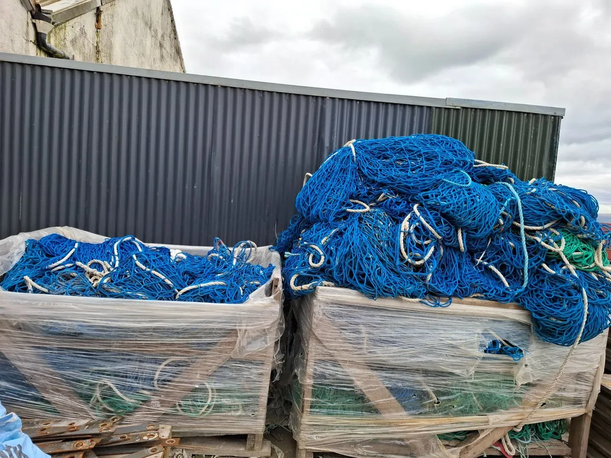 Safety Nets - Image 2