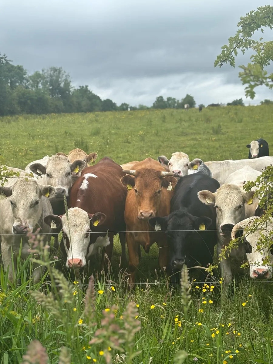 Grazing required