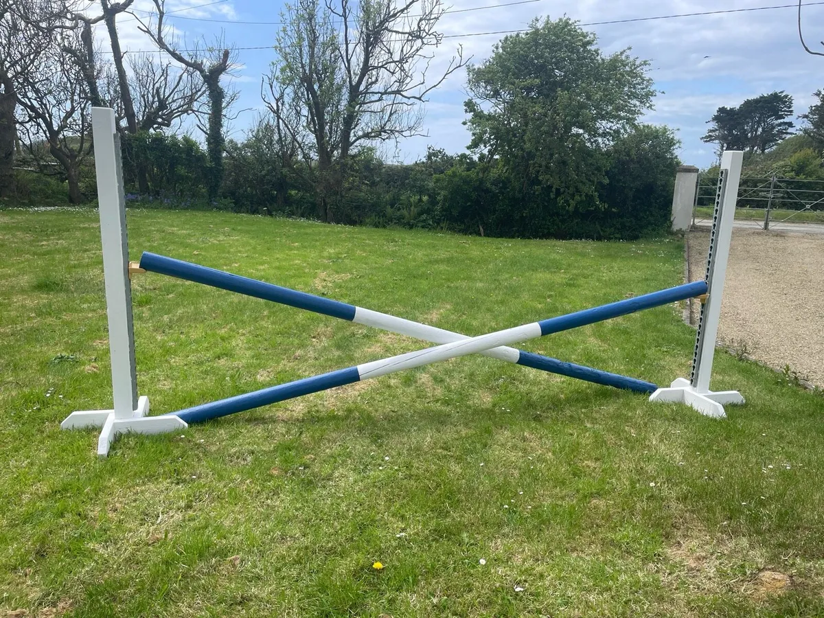 Horse Jumps and Poles - Image 2