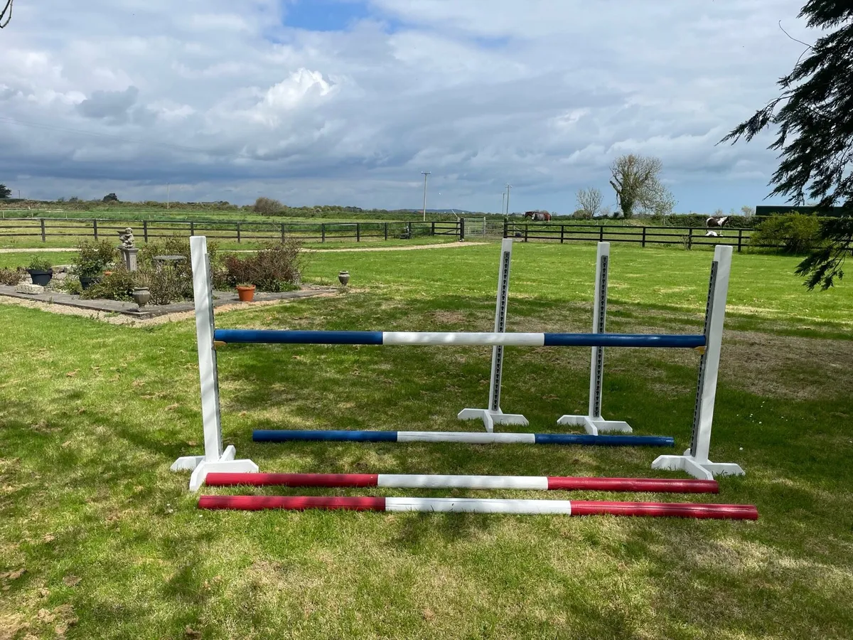 Horse Jumps and Poles - Image 4