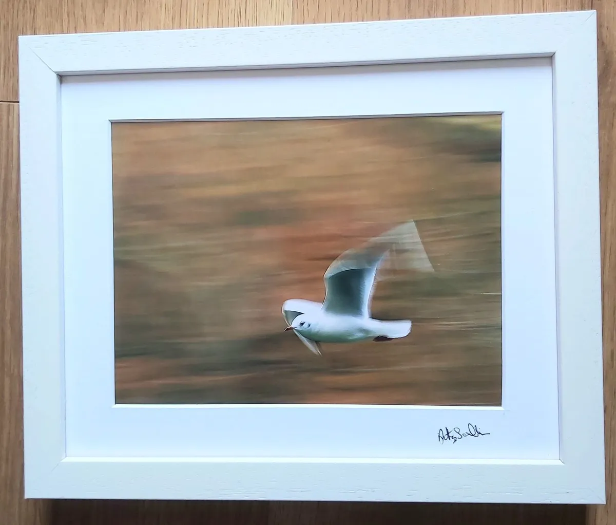Have your favourite photo - Image 2