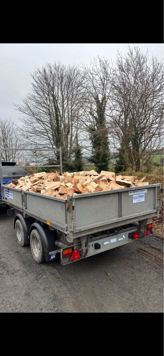Timber processor for hire - Image 2