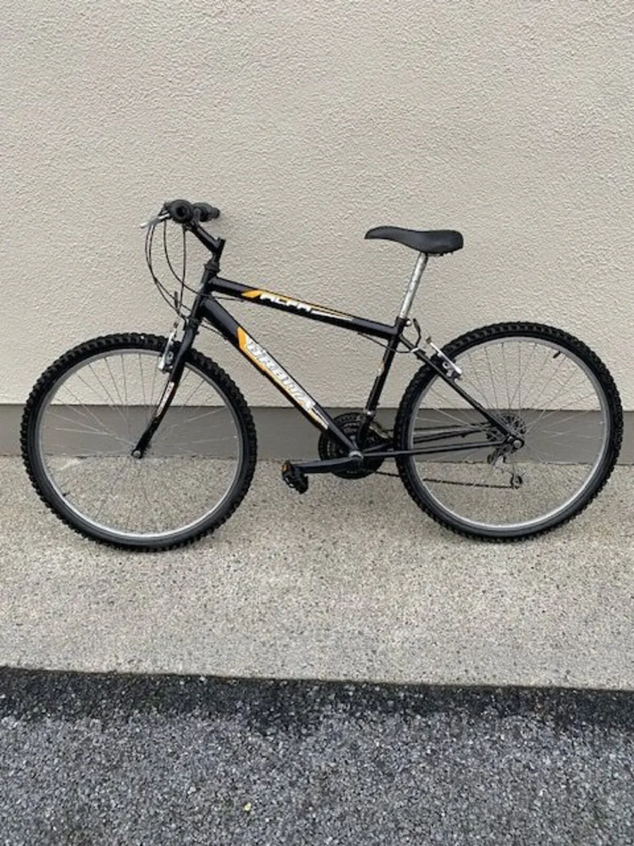 Mens Bicycle - Image 1