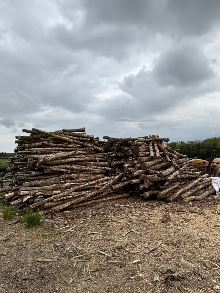 Ash & beech Firewood - Image 2
