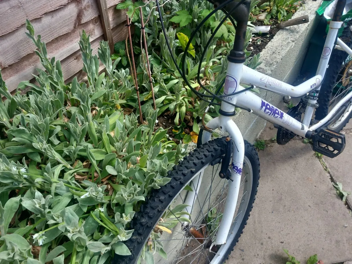ladies bike - Image 3