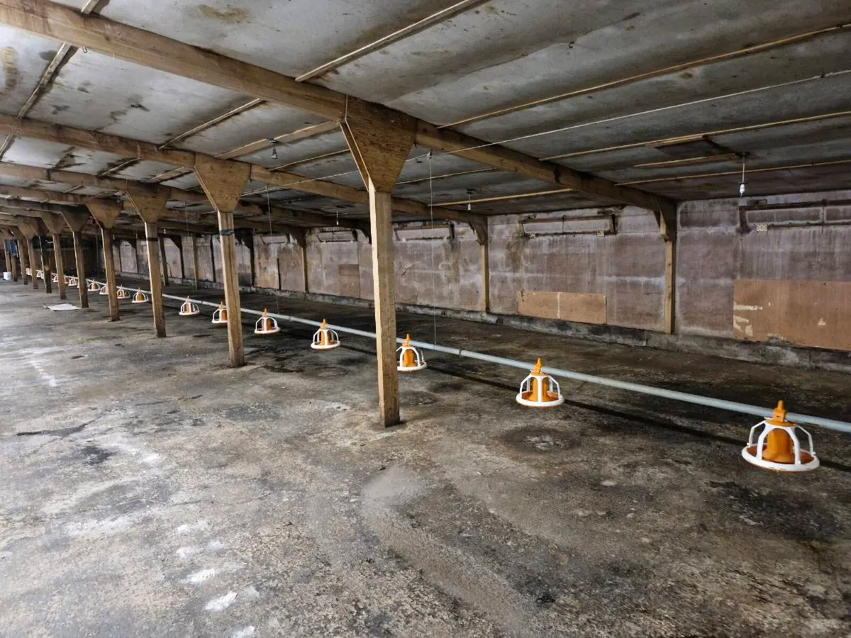 Poultry Equipment - Image 1