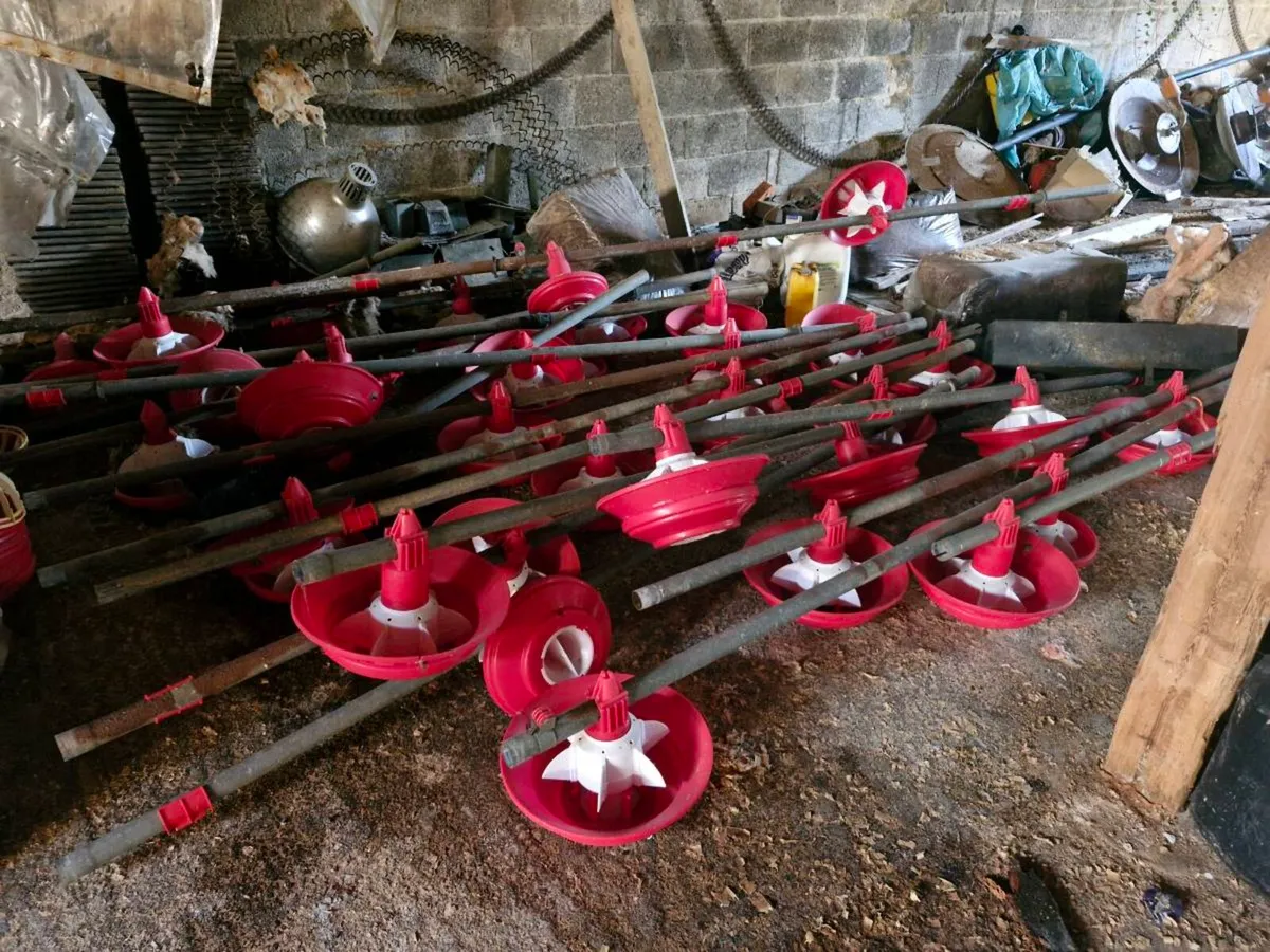 Poultry Equipment - Image 2