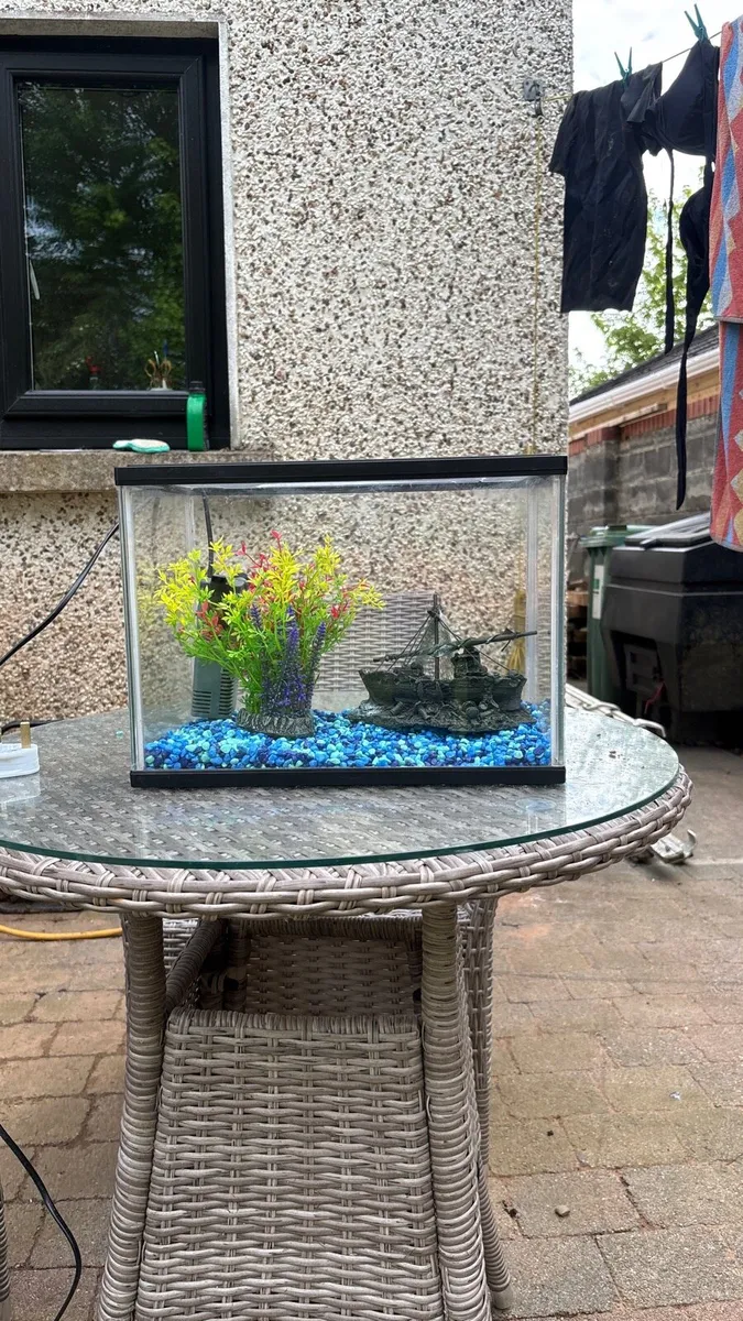 Fish tank with Filter and Decorations - Image 1
