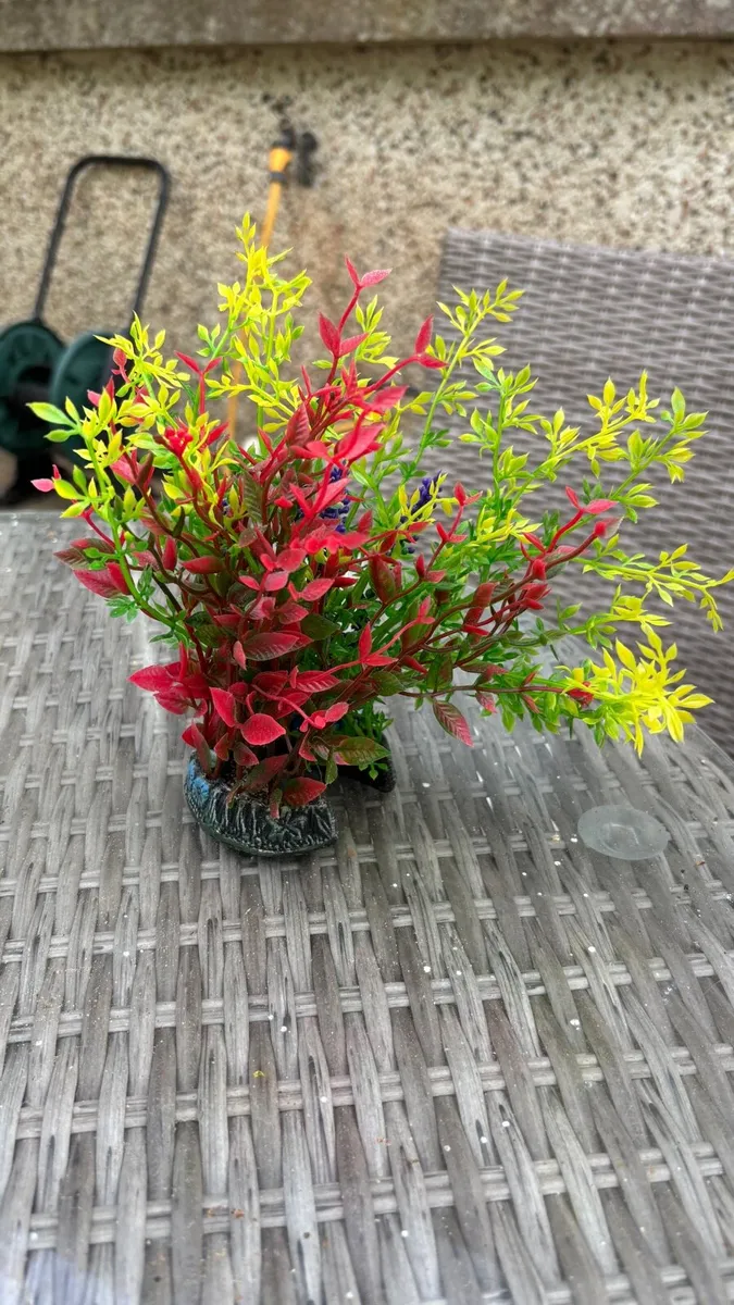 Fish tank with Filter and Decorations - Image 2