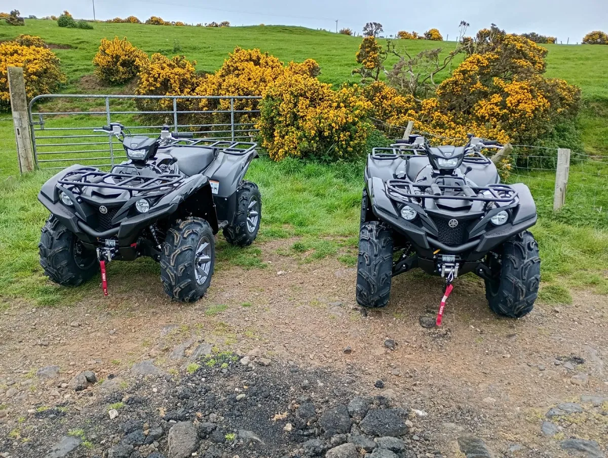 Yamaha Grizzly 700 Special Edition - Image 1