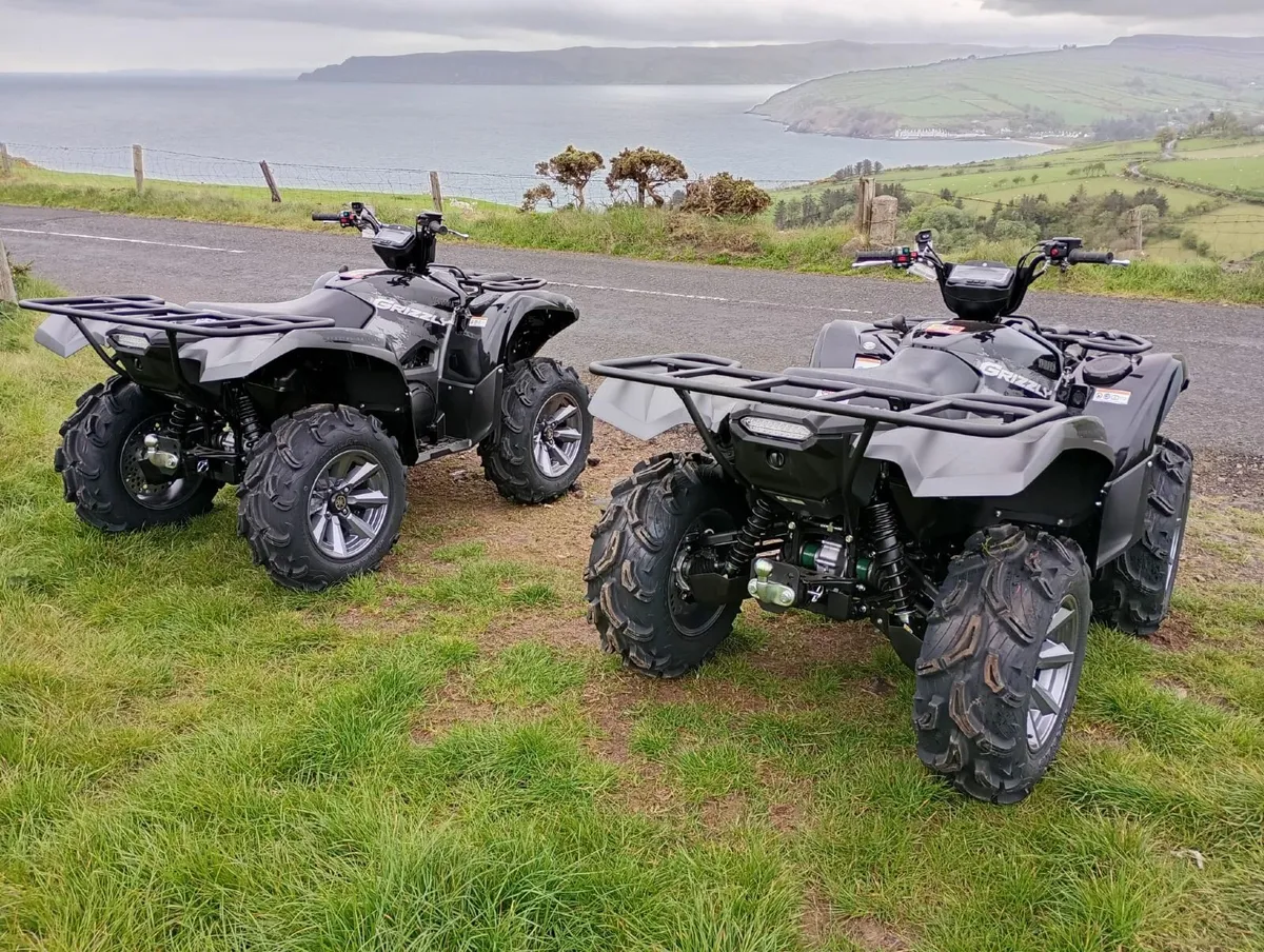 Yamaha Grizzly 700 Special Edition - Image 3