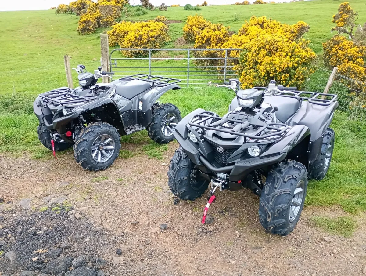 Yamaha Grizzly 700 Special Edition - Image 2