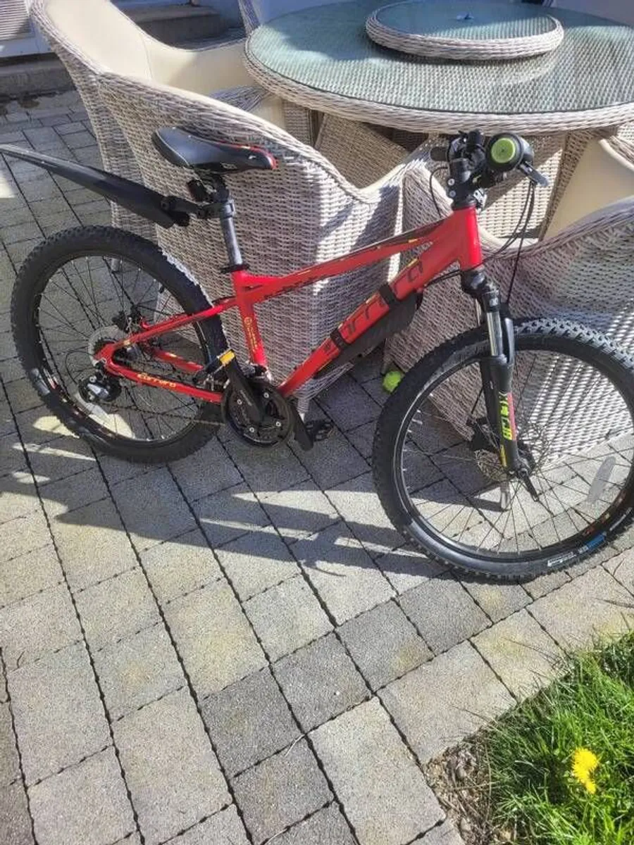Carrera junior Mountain bike - Image 1