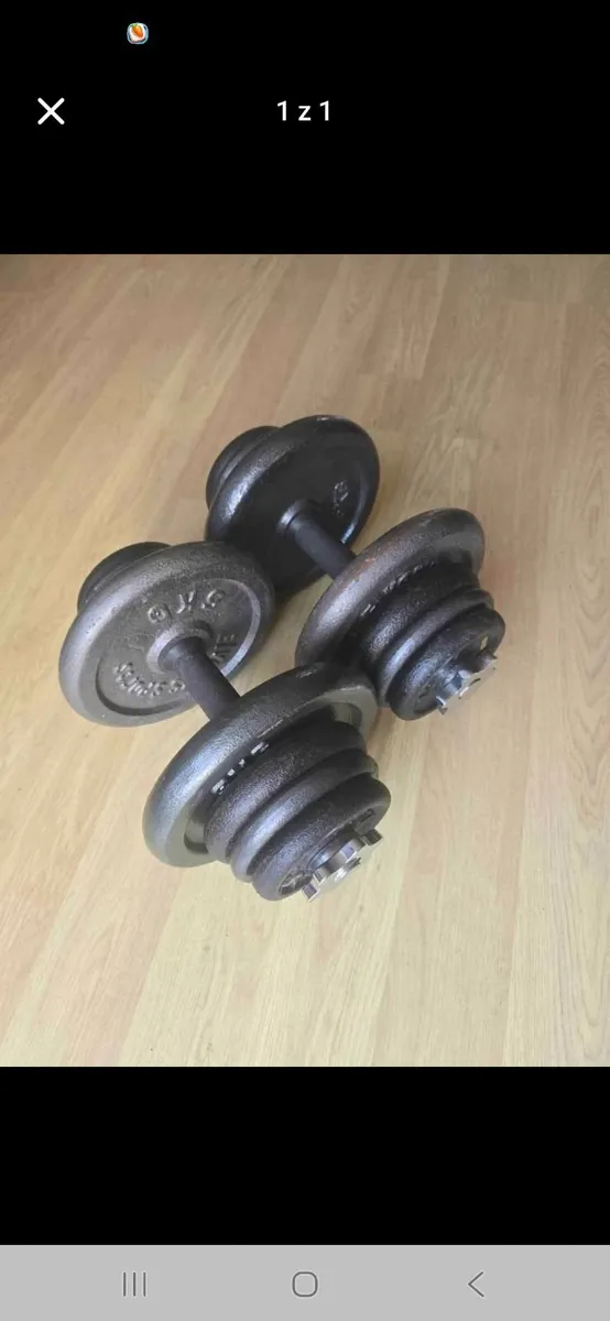 Dumbbells 2×21kg
