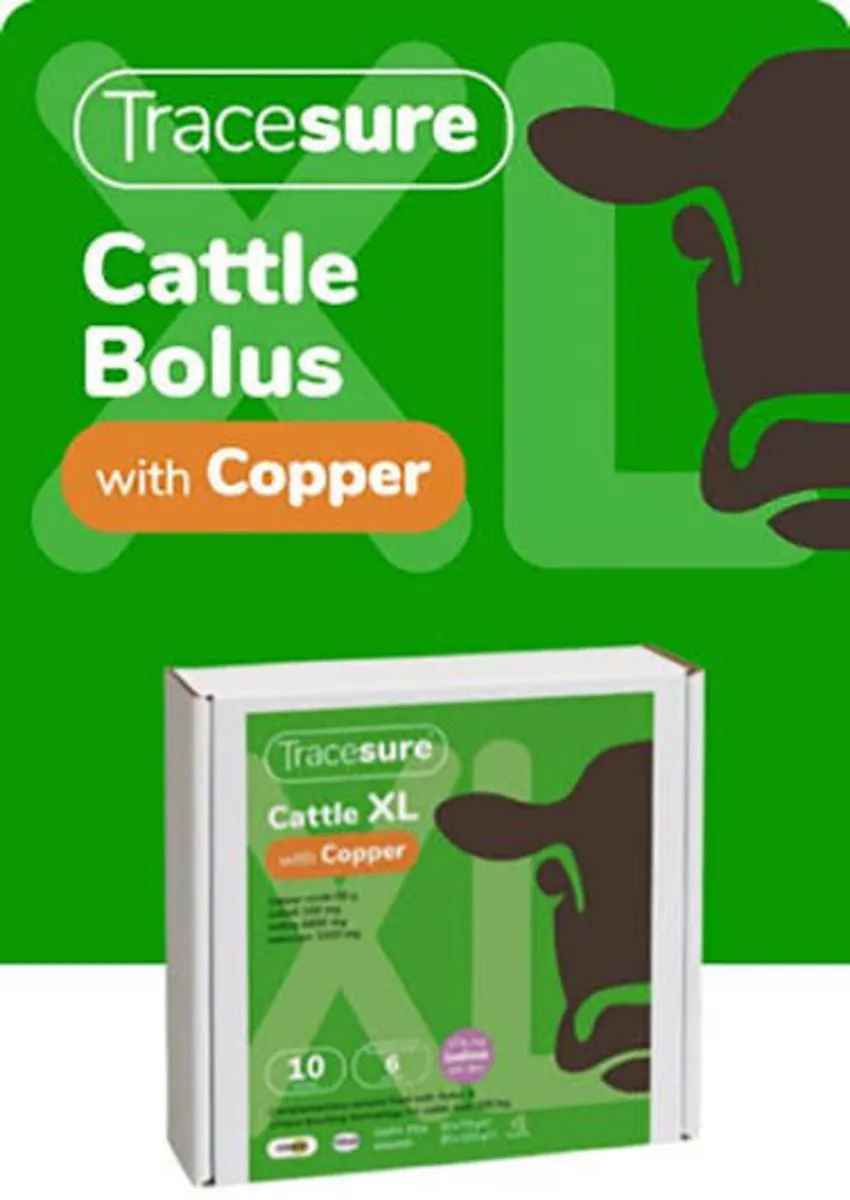 Original Tracesure Cattle and XL Bolus - Image 4