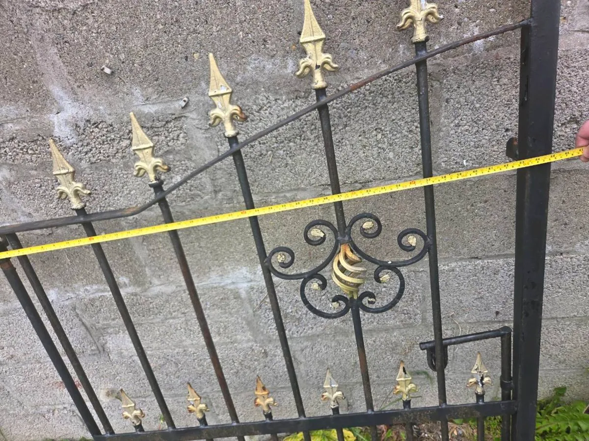 Iron driveway gates - Image 2