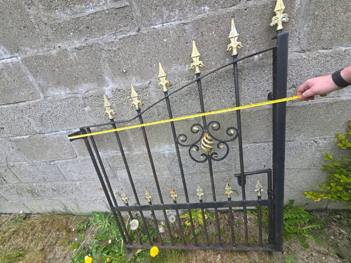 Iron driveway gates - Image 1