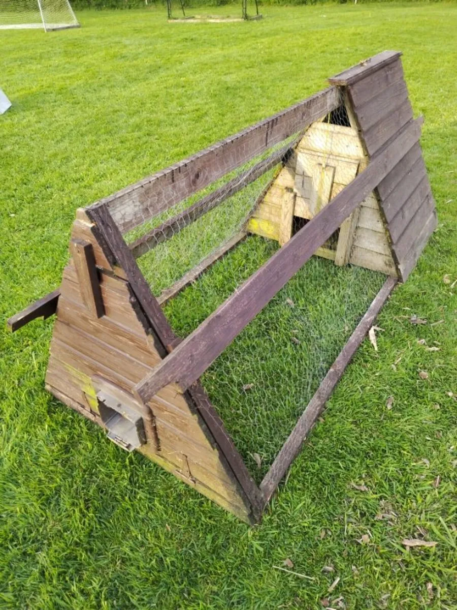 Chicken Coop/Hen House - Image 1
