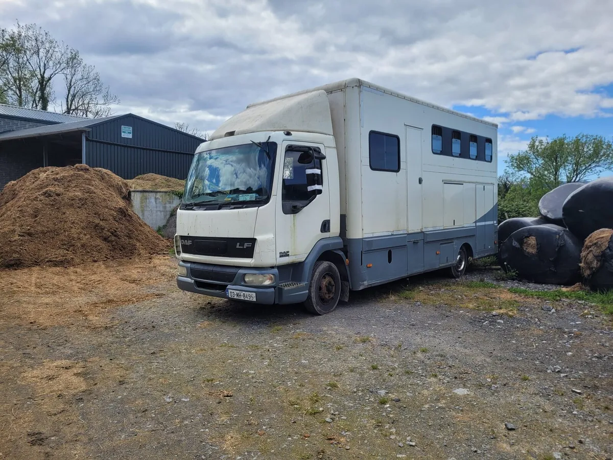 Daf 4 horse truck - Image 2