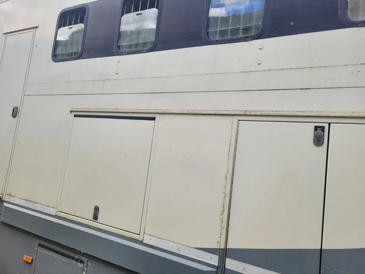 Daf 4 horse truck - Image 3
