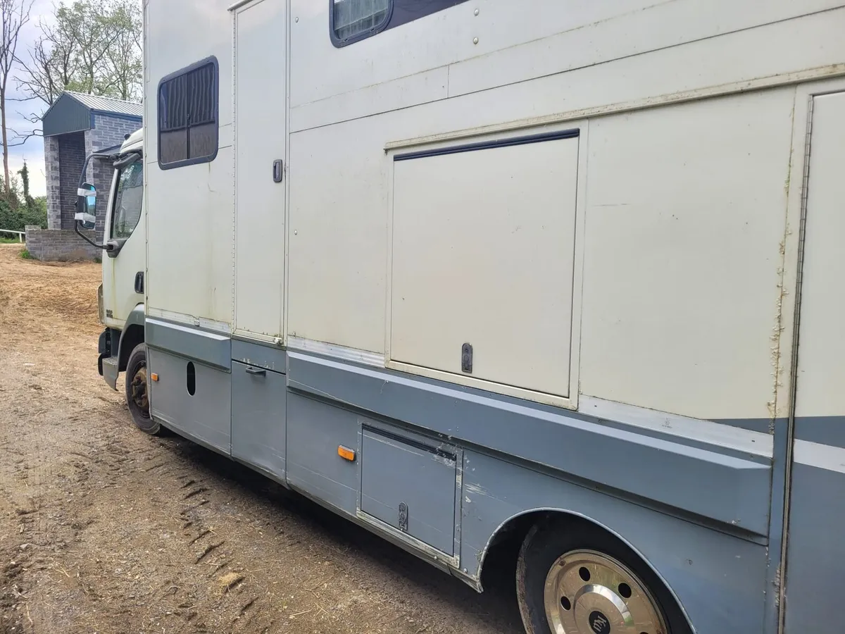 Daf 4 horse truck - Image 4