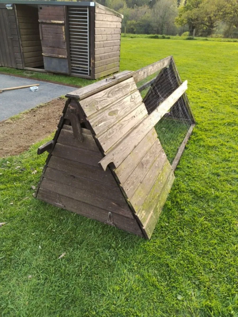 Chicken Coop/Hen House - Image 2