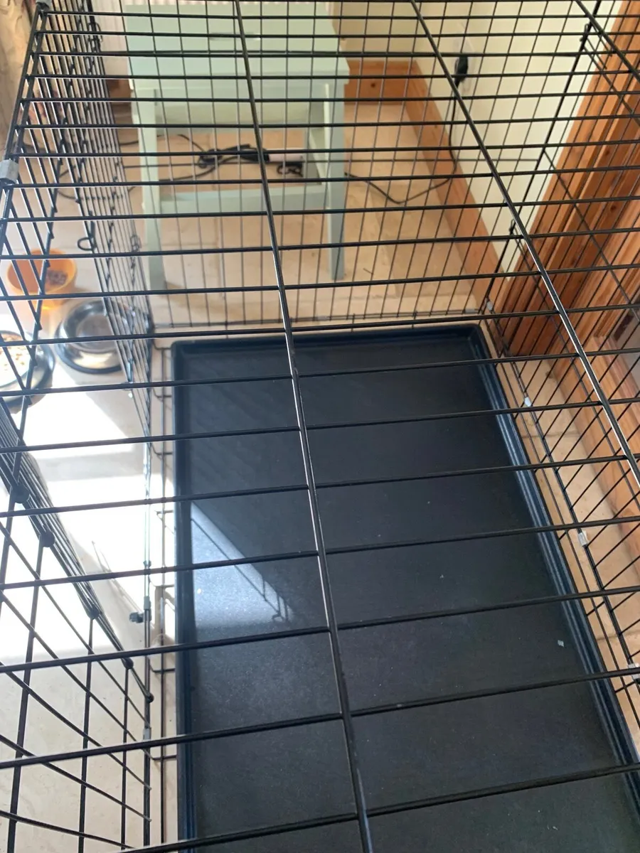 Dog cage - Image 4