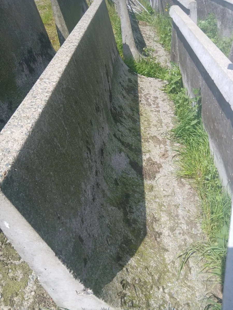 Cubicles and concrete feed barriers - Image 4