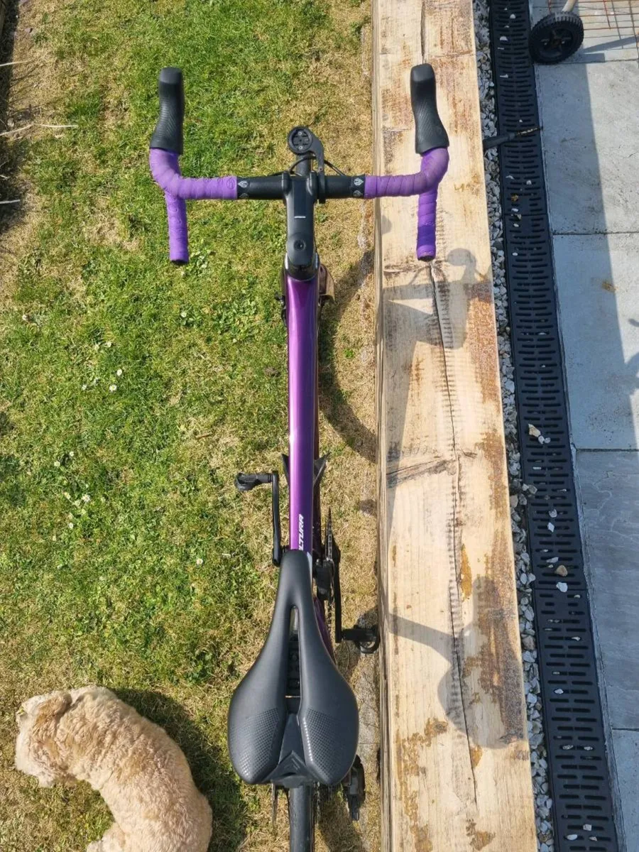 Racing bike - Image 3