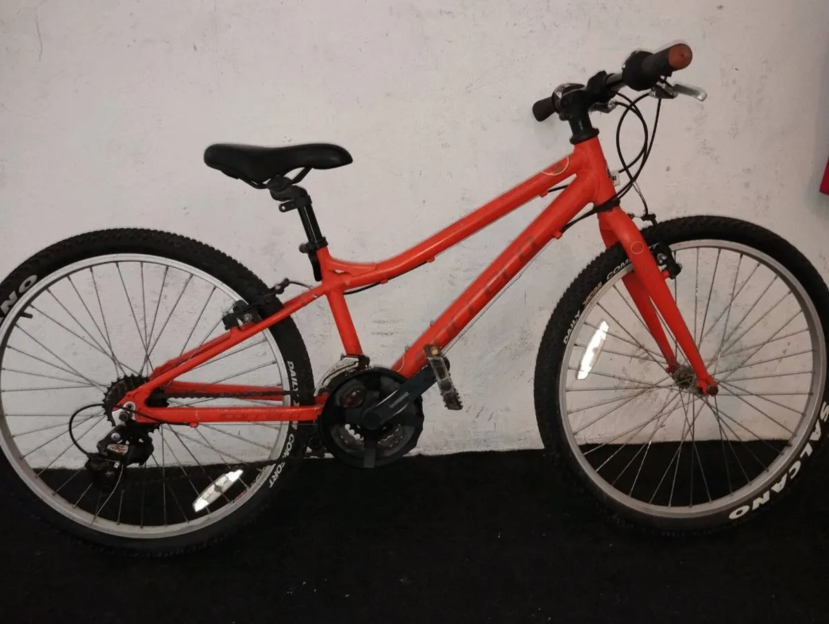 Kids 24inch Carrera - Image 1