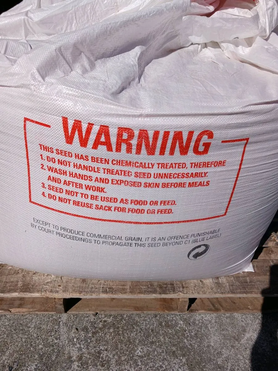 1ton Certified treated winter barley seed for sale - Image 4