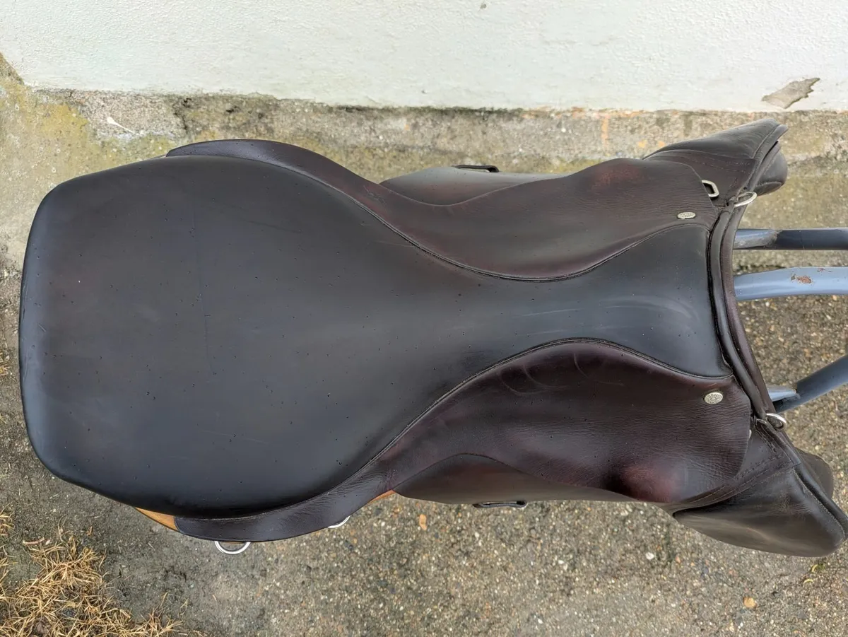 Berneys 17 1/2" Medium Dublin Show Jumper Saddle - Image 2