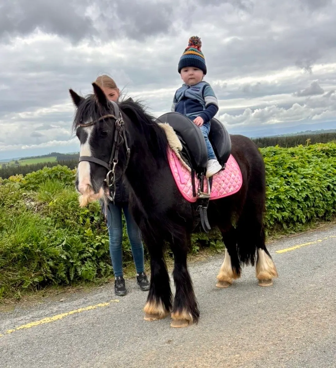Begginers pony - Image 1