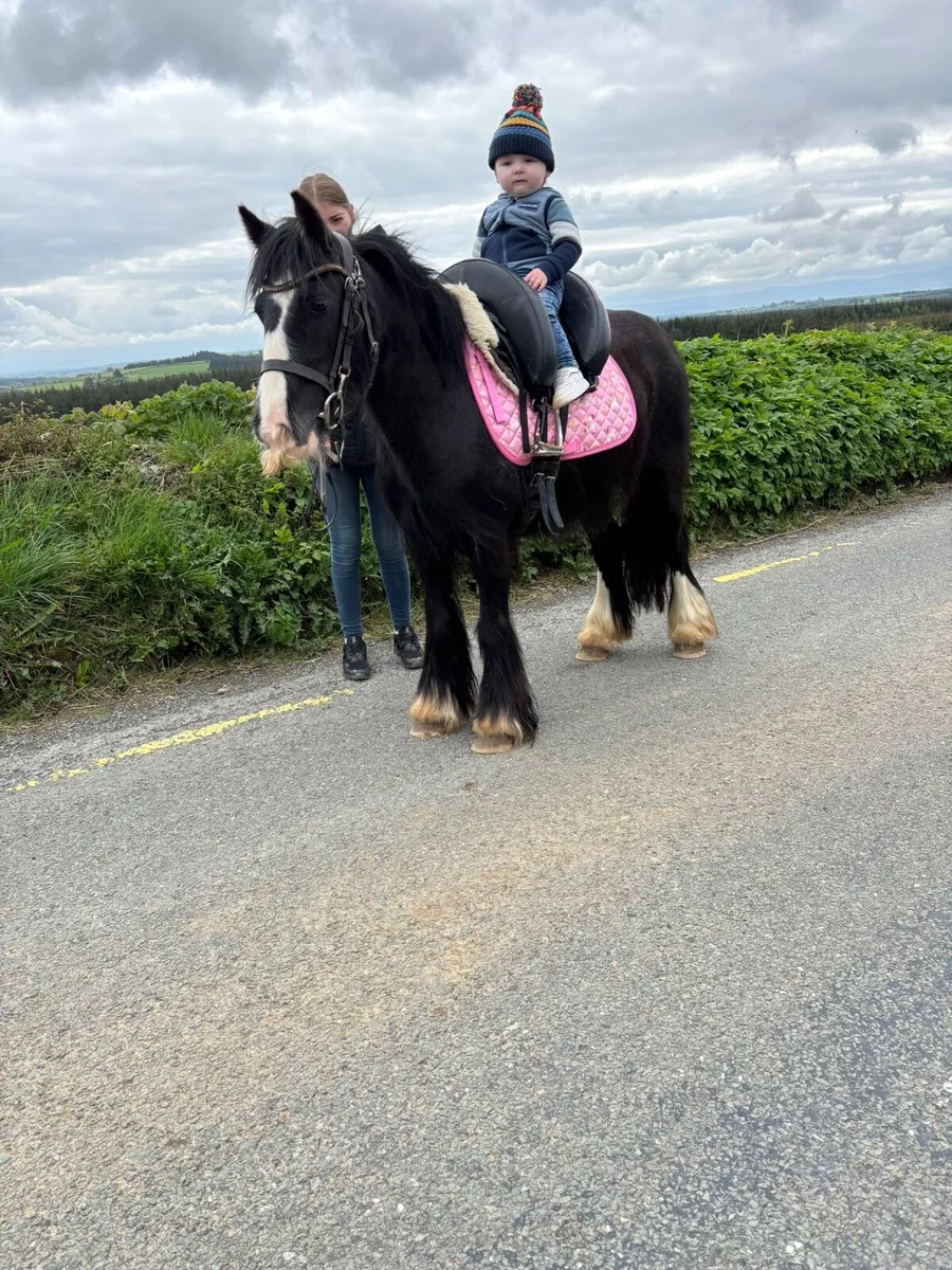 Begginers pony - Image 2