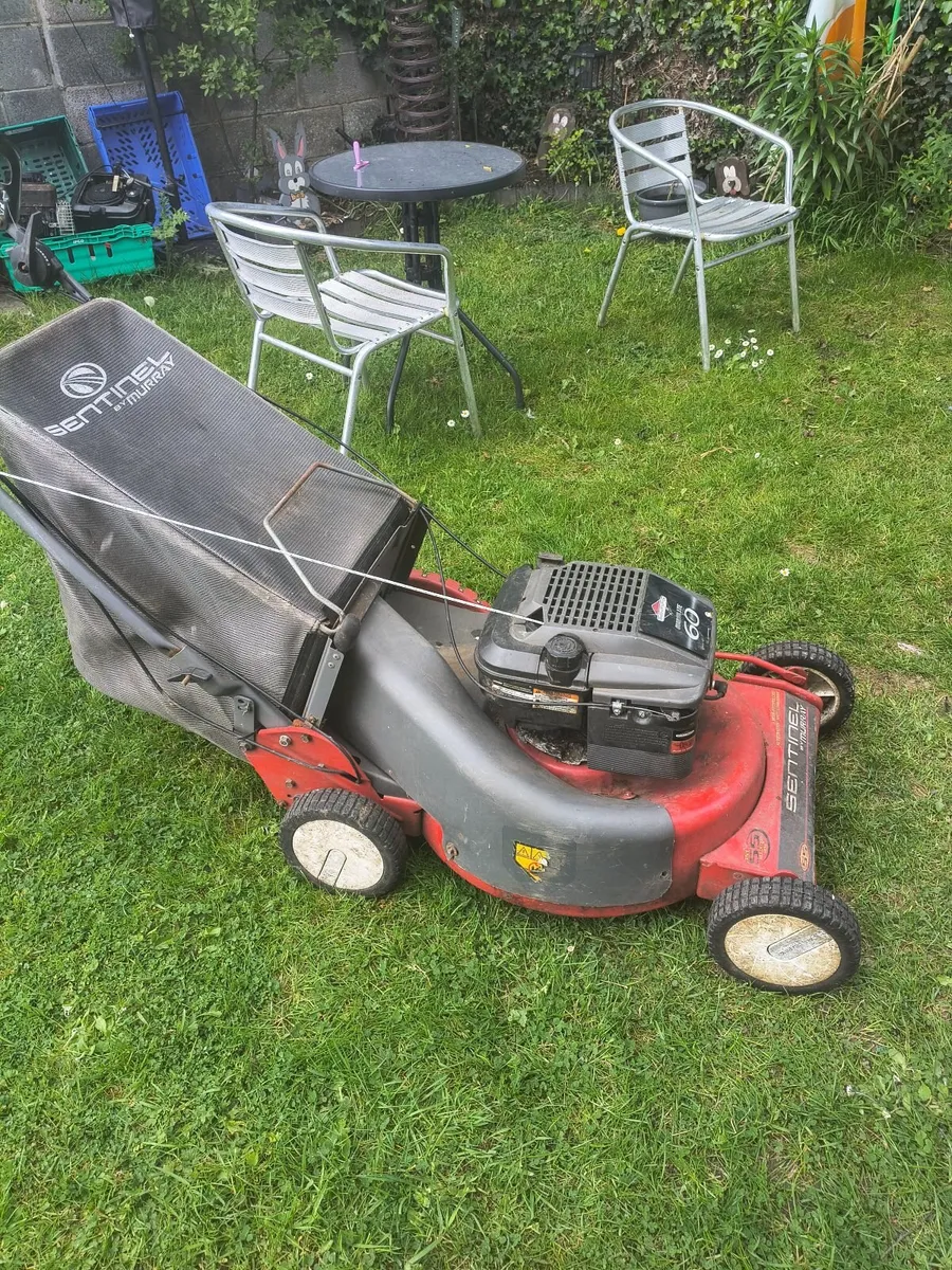 22" self drive lawnmower - Image 2