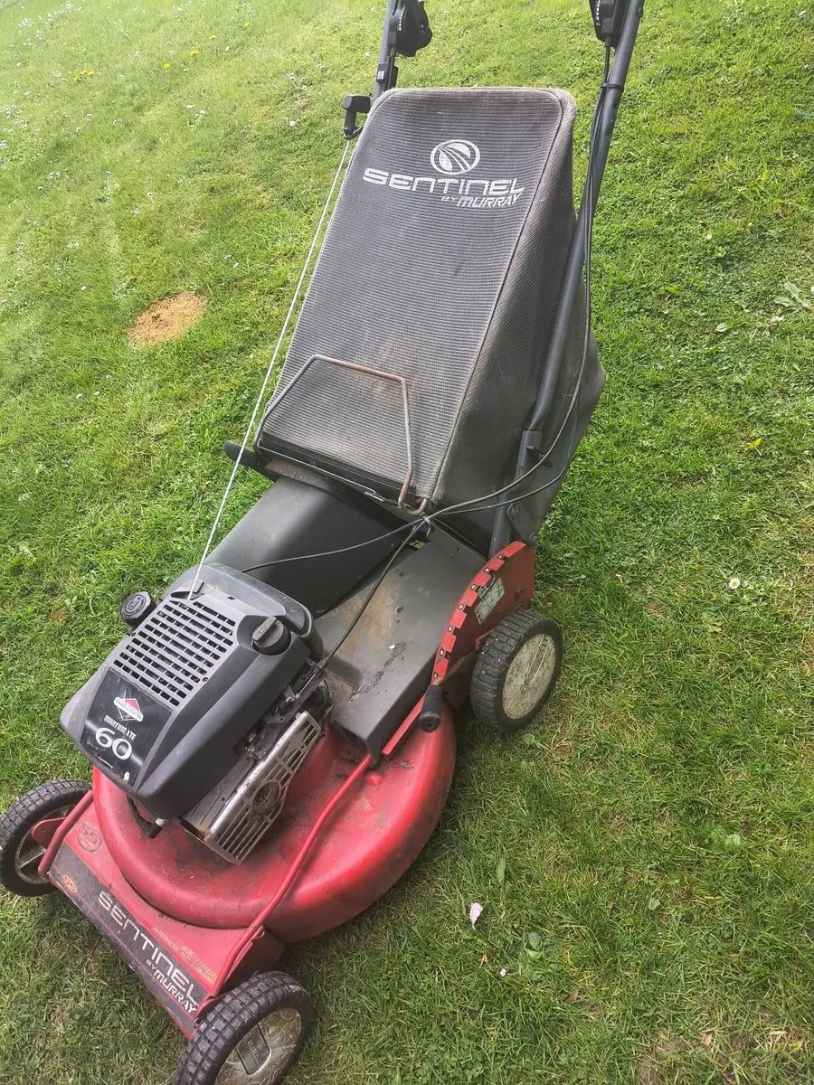 22" self drive lawnmower - Image 3