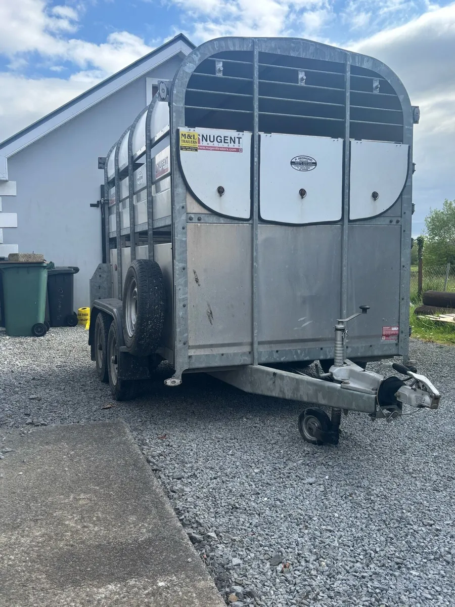 Nugent 8x5 livestock trailer - Image 2