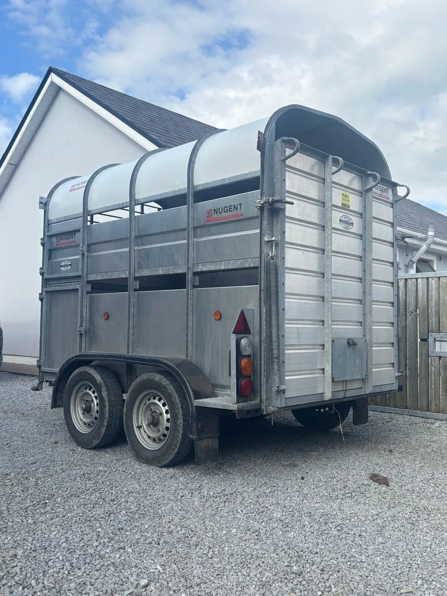 Nugent 8x5 livestock trailer - Image 3