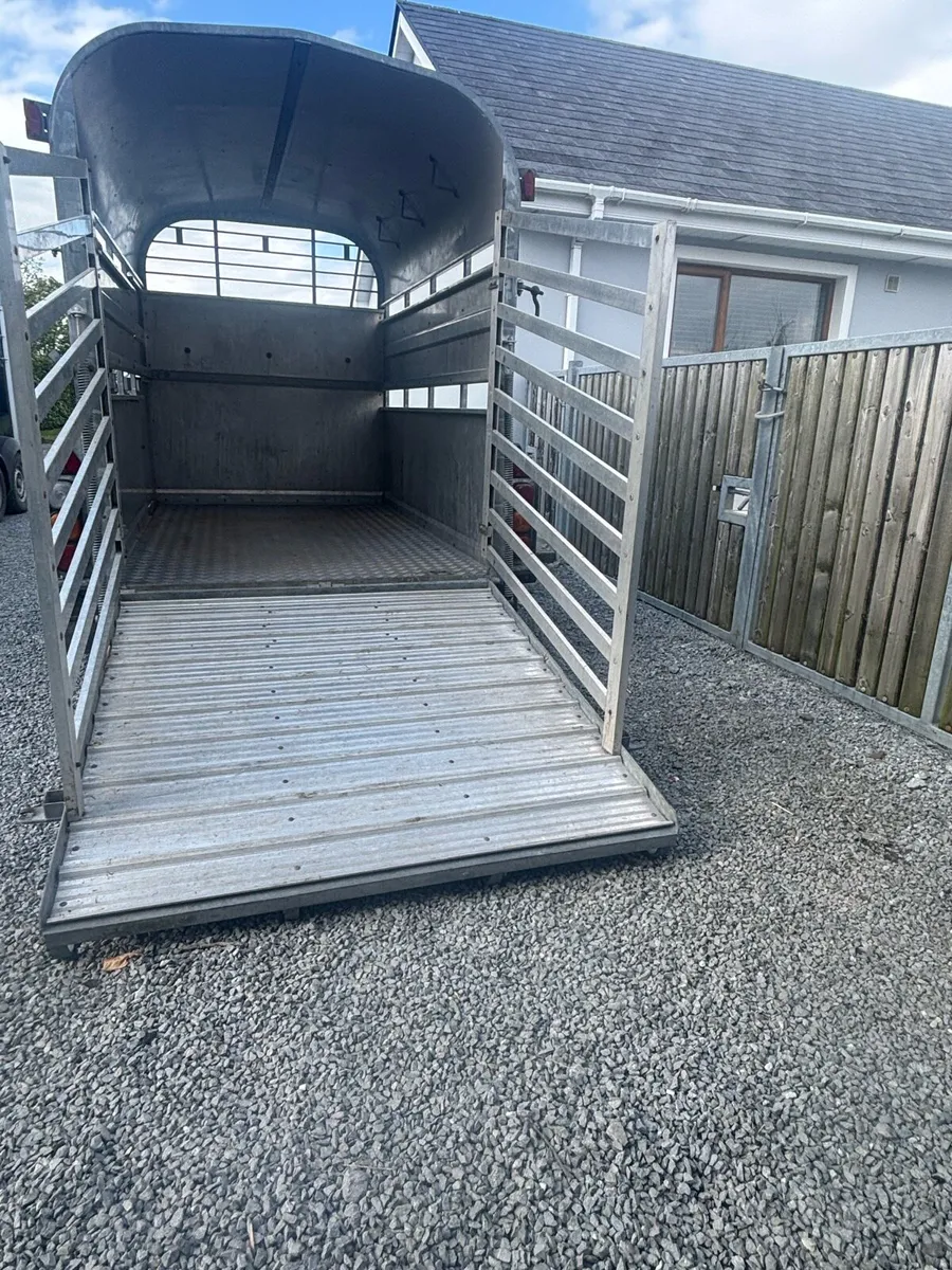 Nugent 8x5 livestock trailer - Image 2