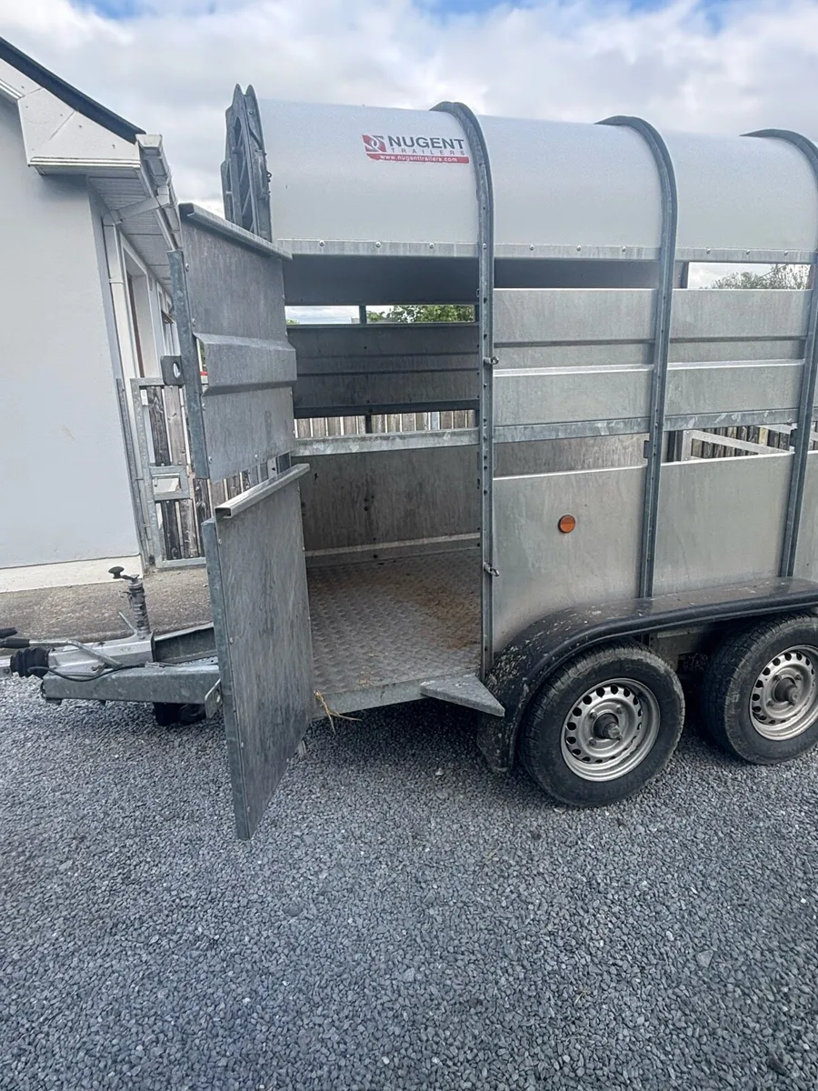 Nugent 8x5 livestock trailer - Image 3