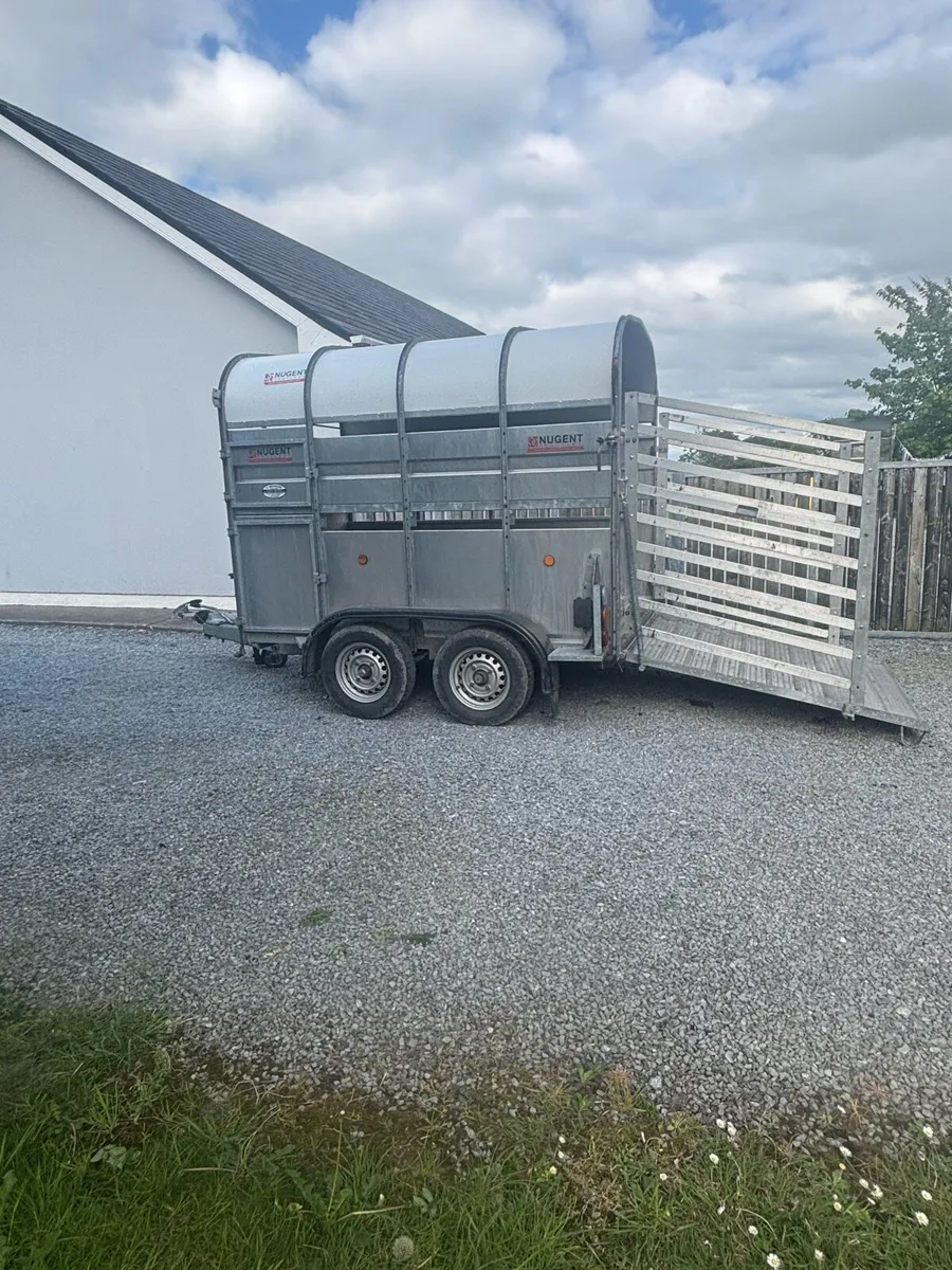 Nugent 8x5 livestock trailer - Image 4