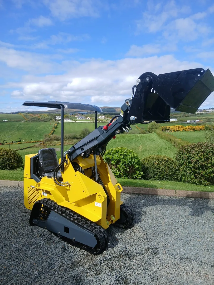 skid steer brand new - Image 1