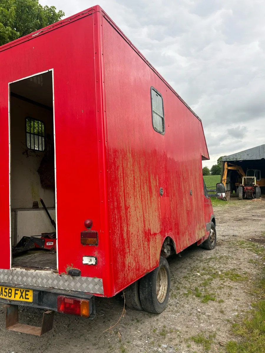 Iveco horse lorry - Image 3