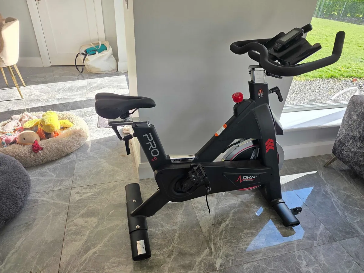 DKN Technology Pro-1 Indoor Spin Bike - Image 1