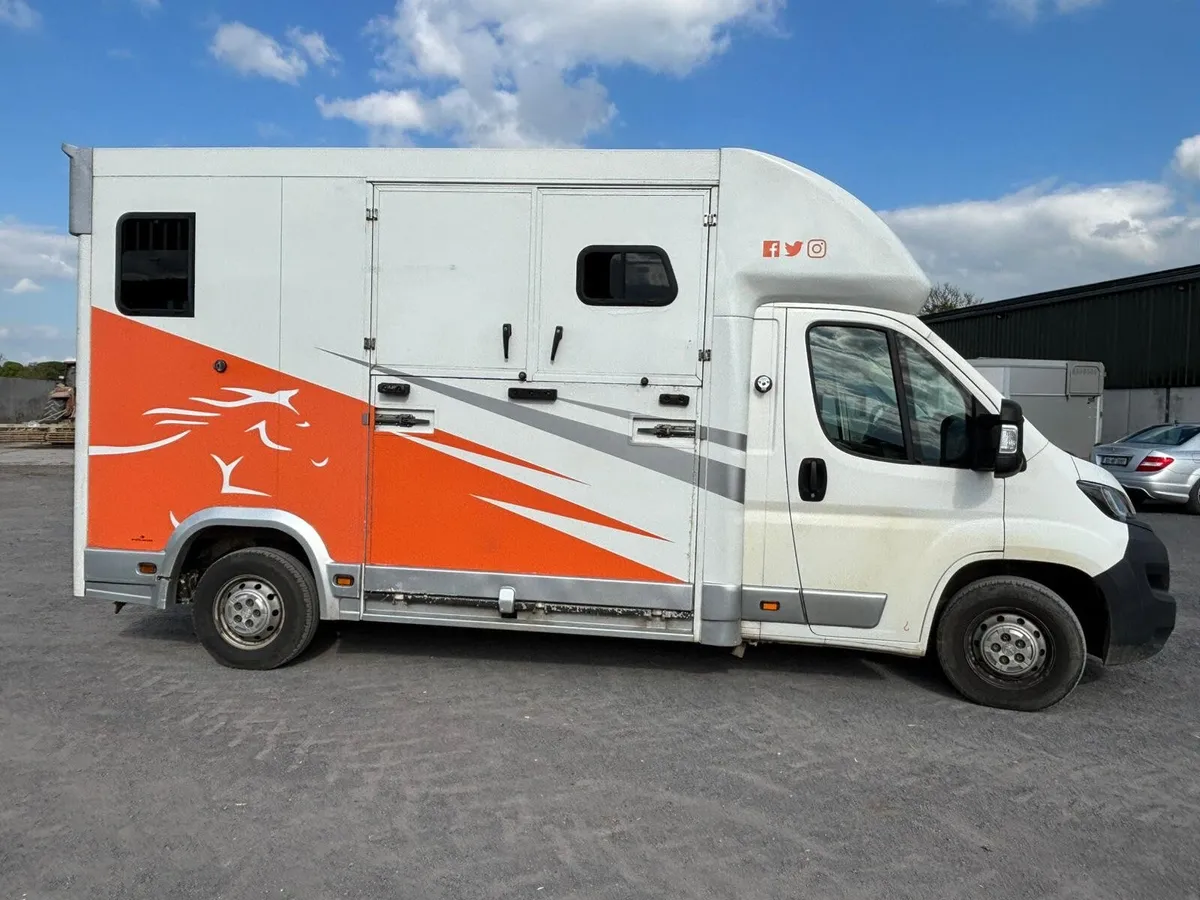 Horse truck - Image 2