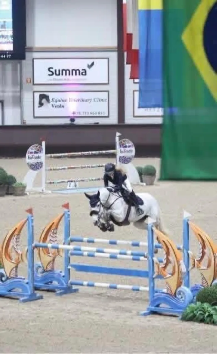 Cloonee Silver(Harlequin du CarelX Diamond Lad) - Image 3