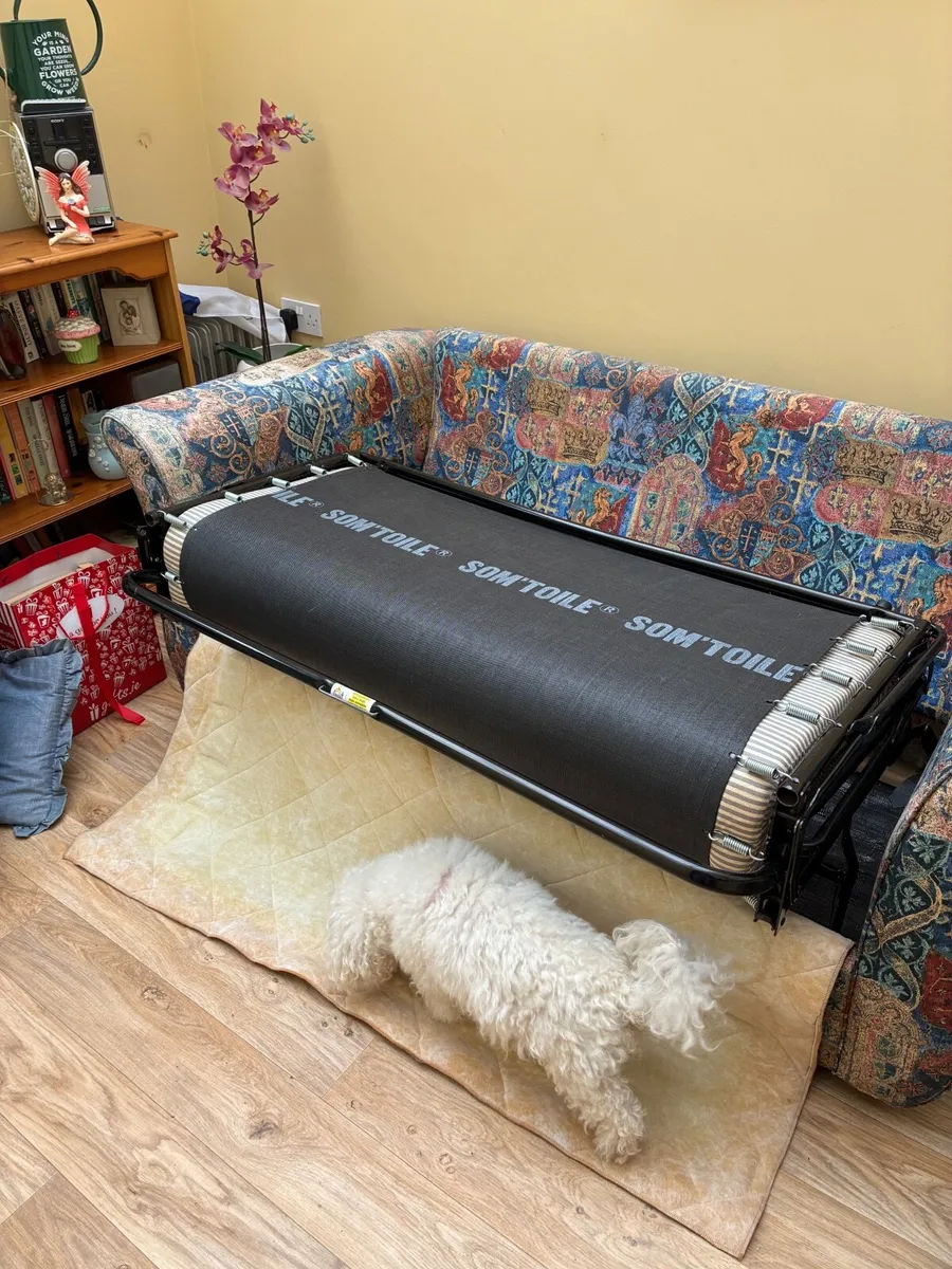 Sofa bed - Image 1
