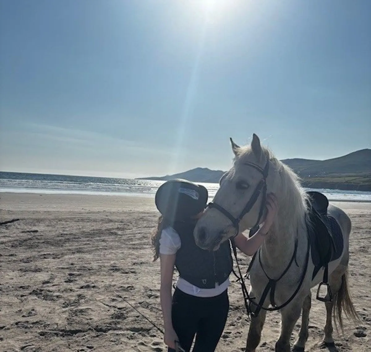 7-Year Old Purebreed Connemara Pony - Image 2