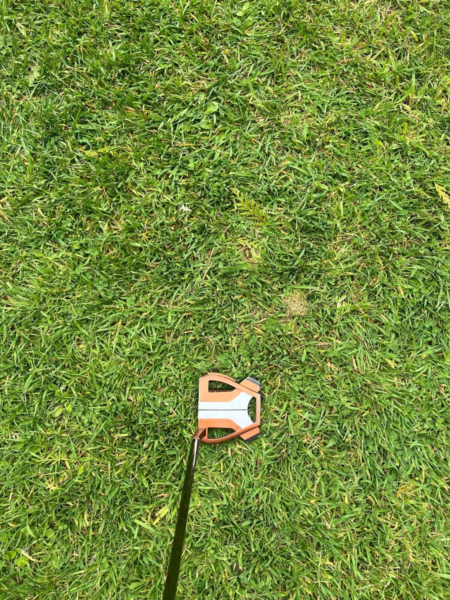 Spider putter - Image 3