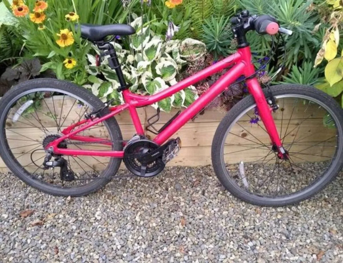 Carrera Saruna Junior bike